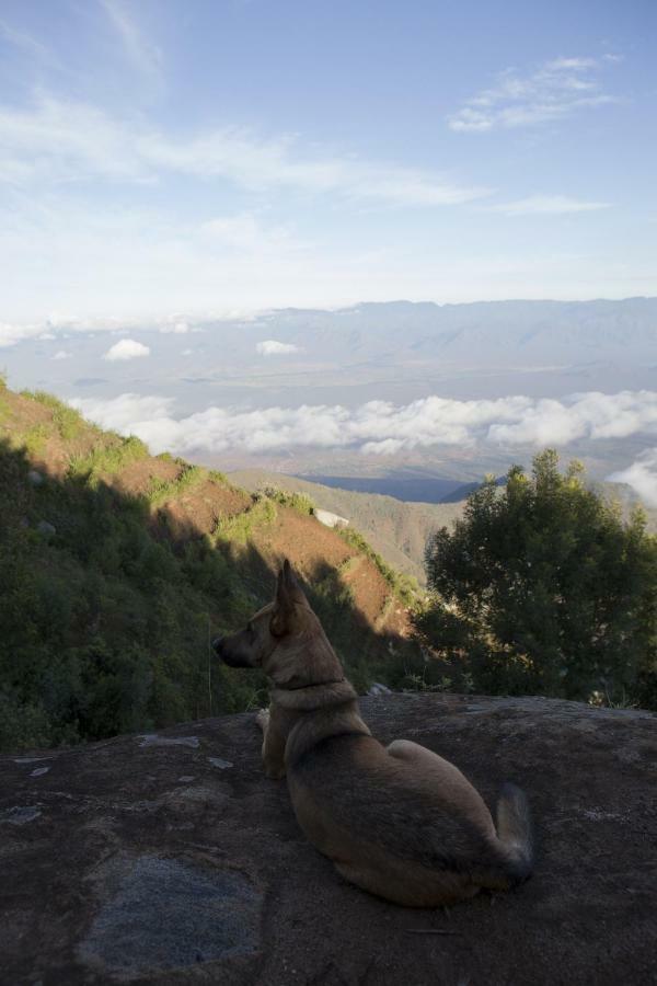 Mambo View Point Vila Ndungu Exterior foto